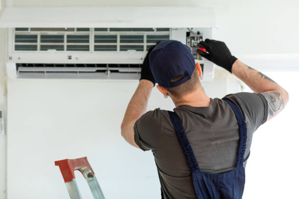 Best Air Duct Mold Removal  in Adrian, MI