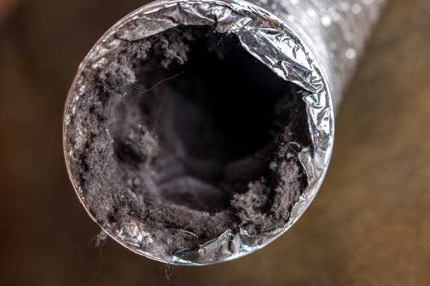 Best Affordable HVAC Duct Cleaning  in Adrian, MI
